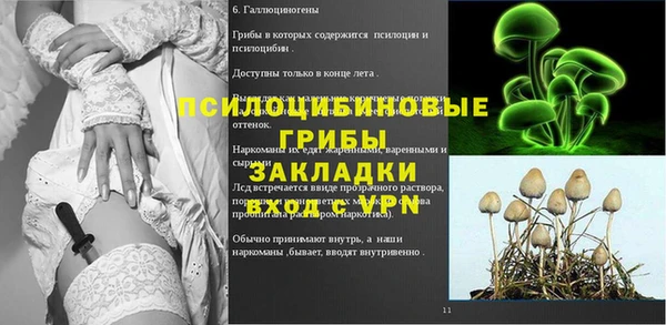 ALPHA-PVP Вяземский